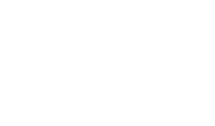 The University of Texas at Austin